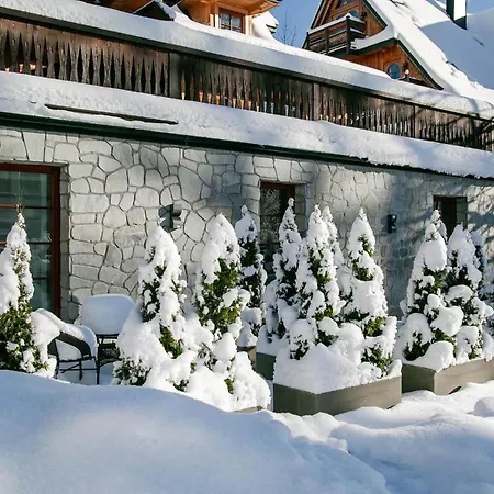 Górskie Szczyty Apart&SPA Hawrań Sauna Jacuzzi i Parking w cenie!-3
